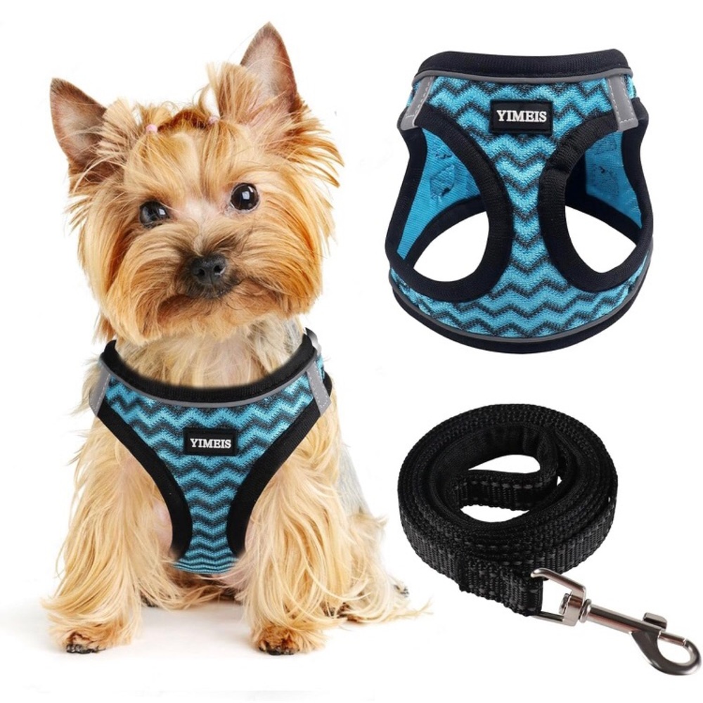Blue Pet Harness and Leash Set